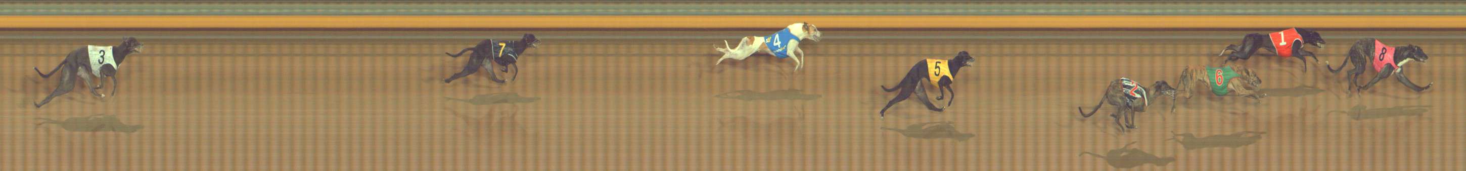 Photo finish for Bendigo Race 13