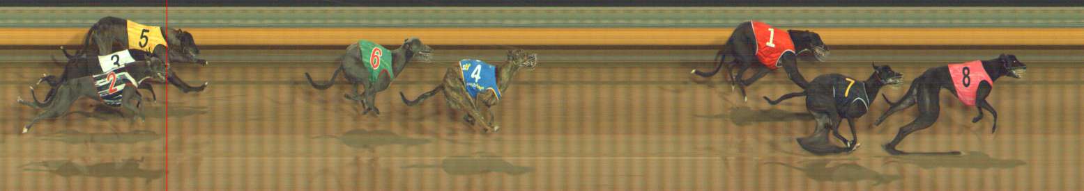 Photo finish for Bendigo Race 2
