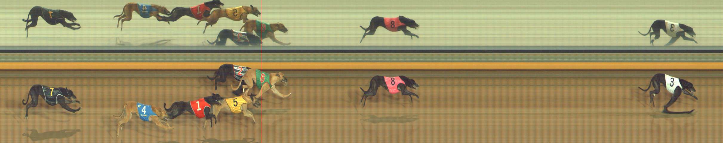 Photo finish for Bendigo Race 5