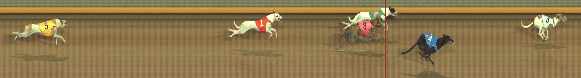 Photo finish for Bendigo Race 6