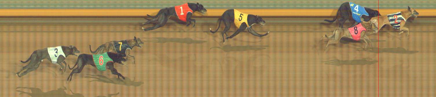Photo finish for Bendigo Race 8