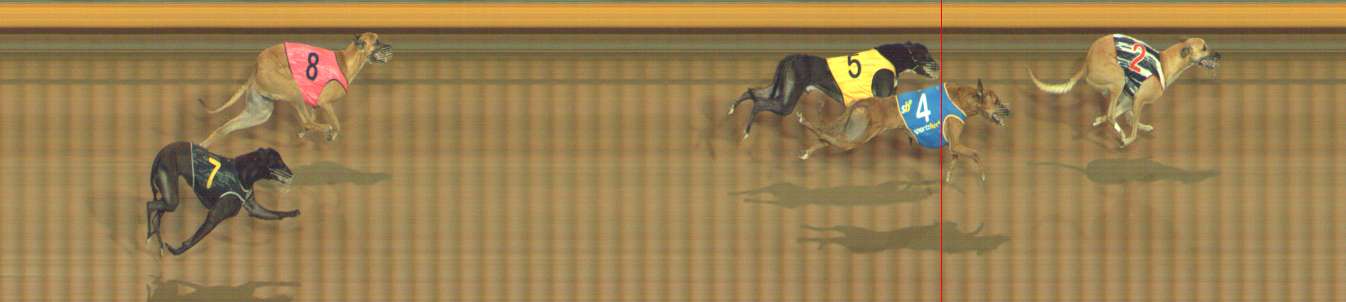 Photo finish for Bendigo Race 10