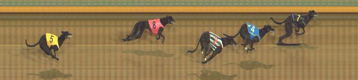 Photo finish for Bendigo Race 11