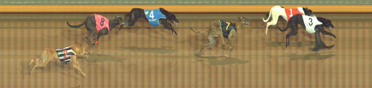 Photo finish for Bendigo Race 12