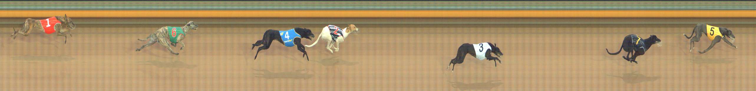 Photo finish for Bendigo Race 1