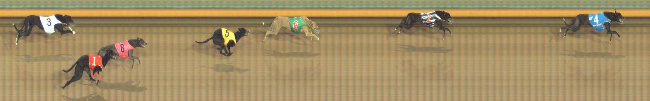 Photo finish for Bendigo Race 2