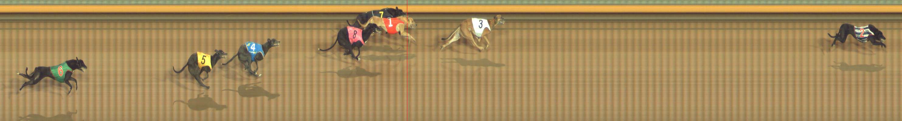 Photo finish for Bendigo Race 3