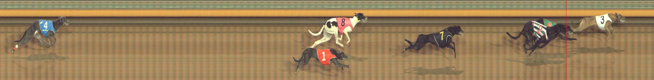Photo finish for Bendigo Race 5