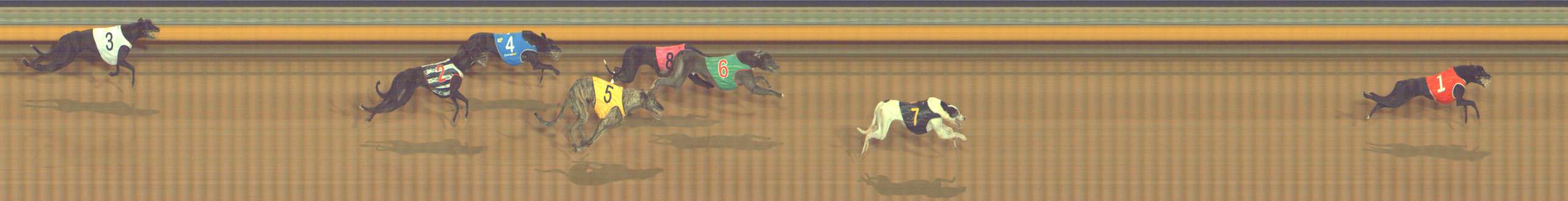 Photo finish for Bendigo Race 6