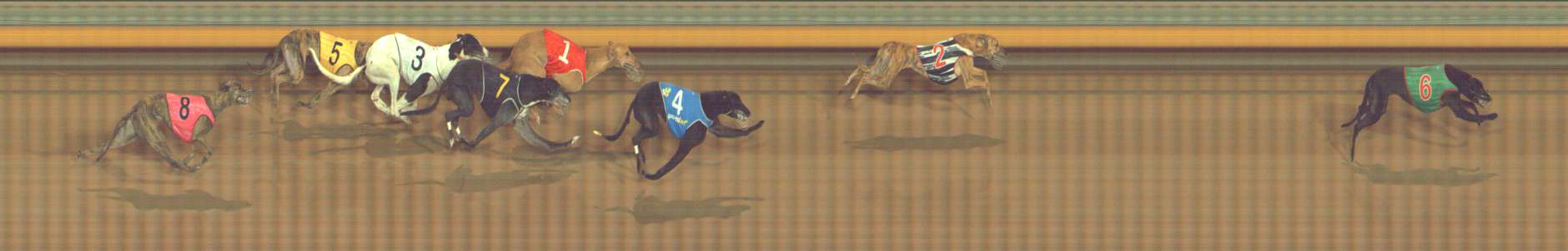 Photo finish for Bendigo Race 7