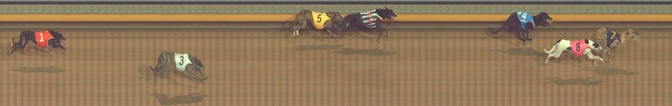 Photo finish for Bendigo Race 8