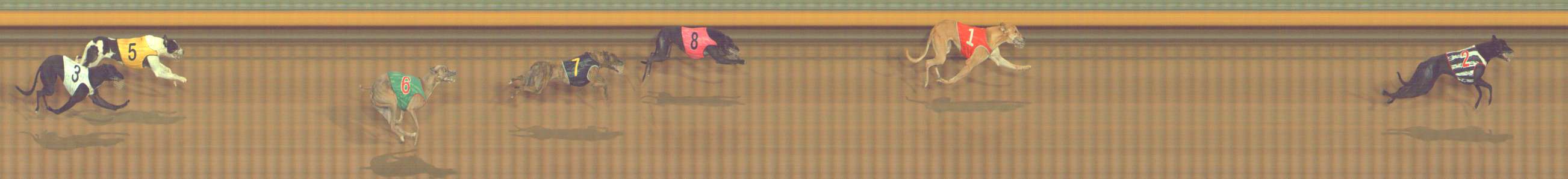 Photo finish for Bendigo Race 9
