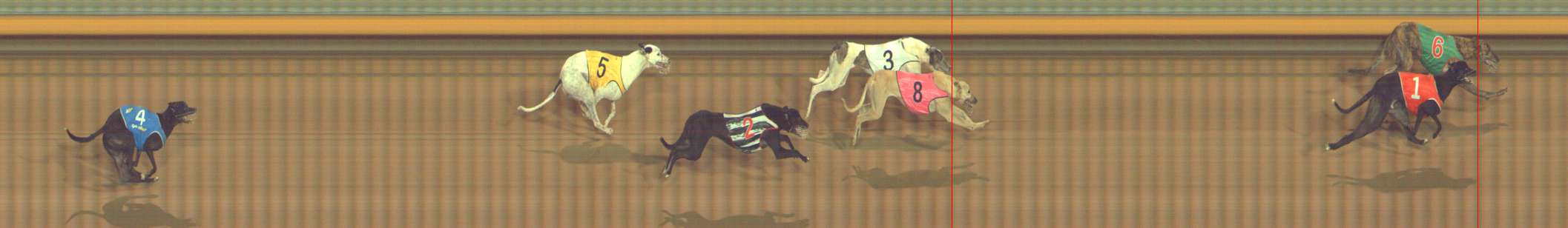 Photo finish for Bendigo Race 10