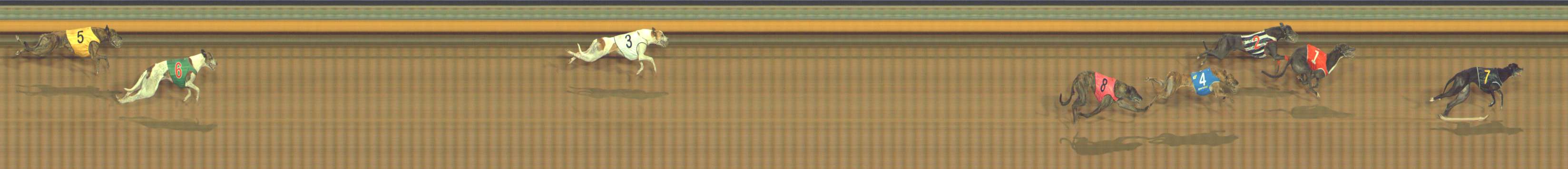 Photo finish for Bendigo Race 12