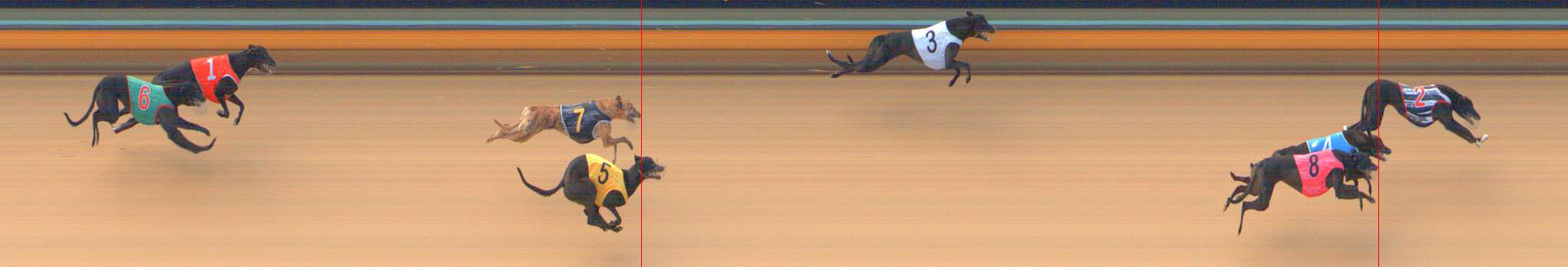 Photo finish for Bendigo Race 1