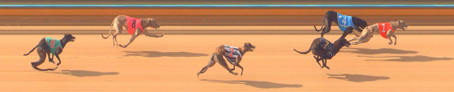 Photo finish for Bendigo Race 2