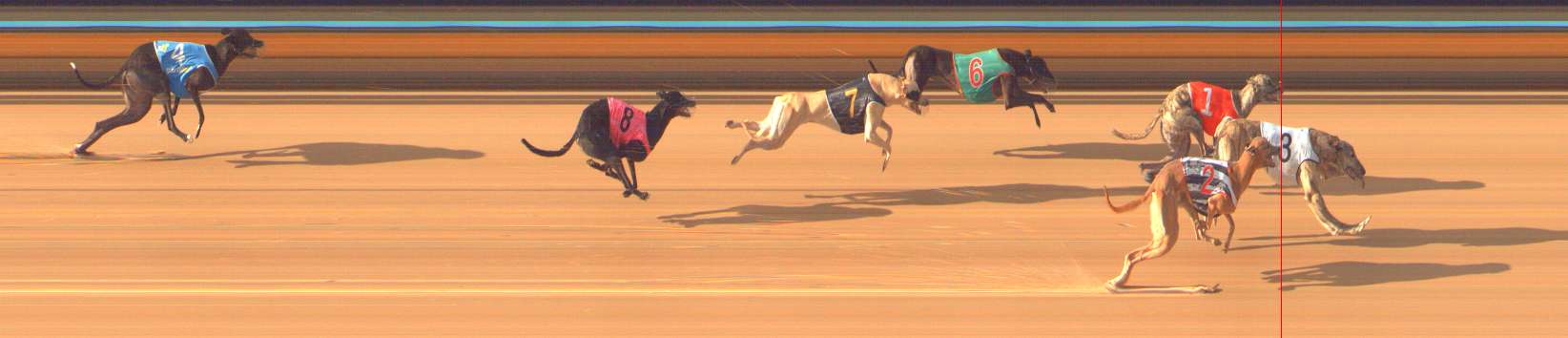 Photo finish for Bendigo Race 5
