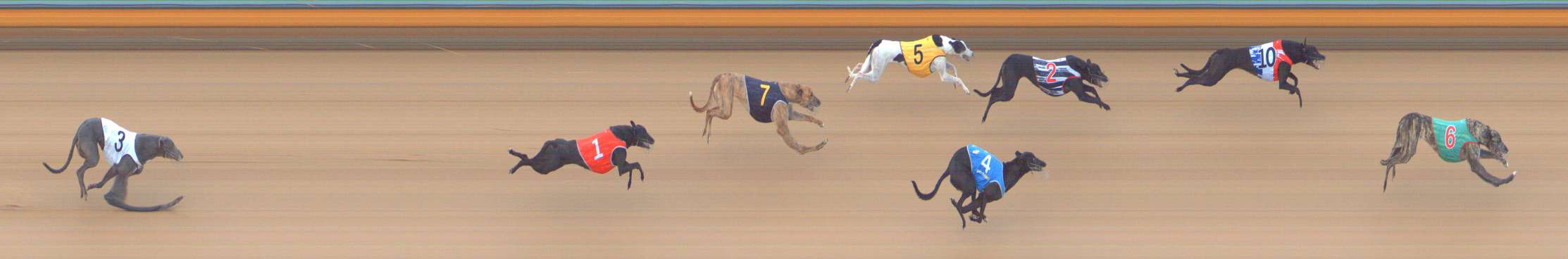 Photo finish for Bendigo Race 6