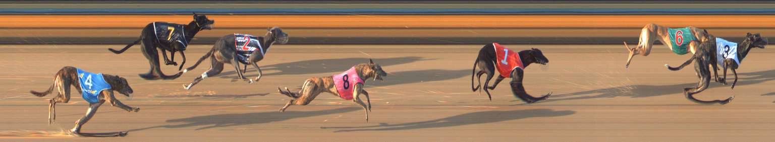 Photo finish for Bendigo Race 7