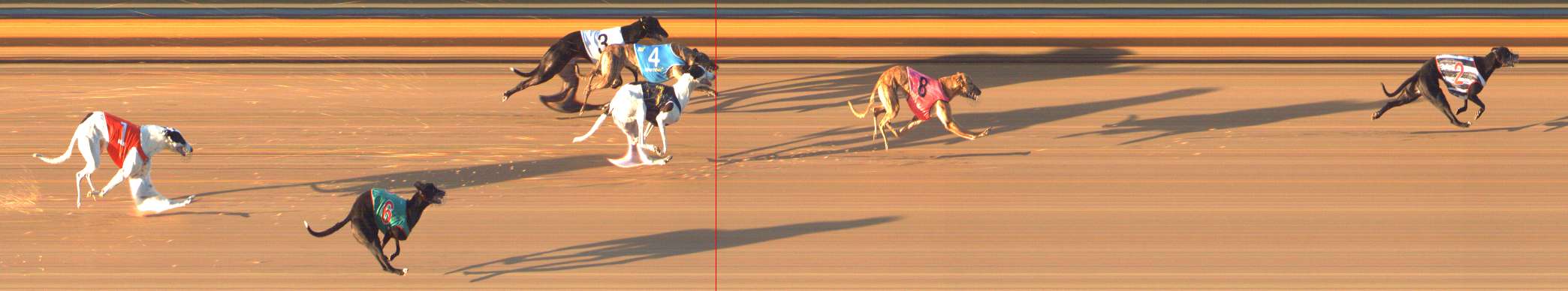 Photo finish for Bendigo Race 8