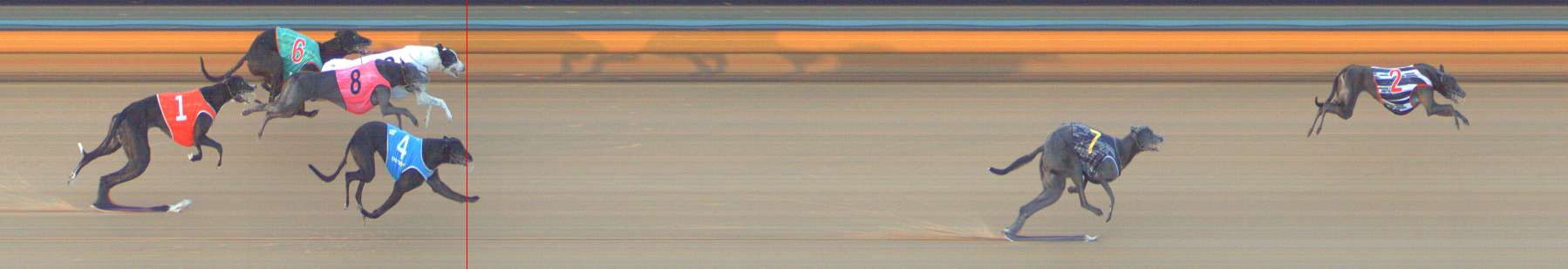 Photo finish for Bendigo Race 9