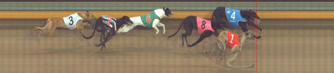 Photo finish for Bendigo Race 10