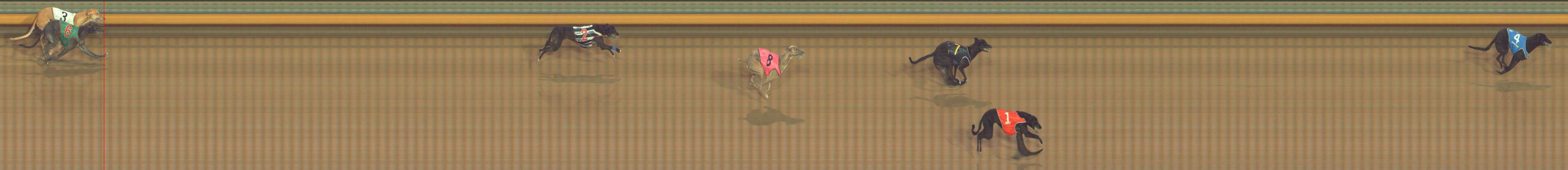 Photo finish for Bendigo Race 11