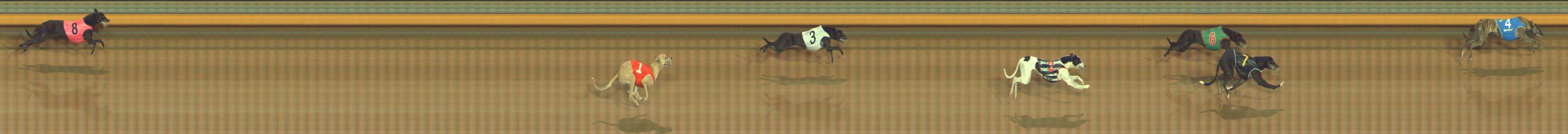 Photo finish for Bendigo Race 1