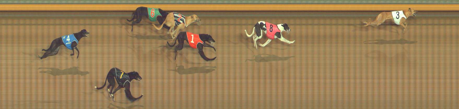 Photo finish for Bendigo Race 2
