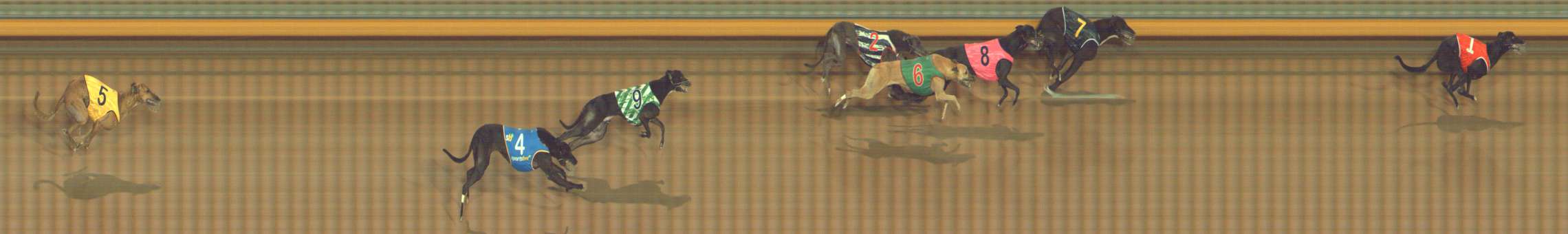 Photo finish for Bendigo Race 3