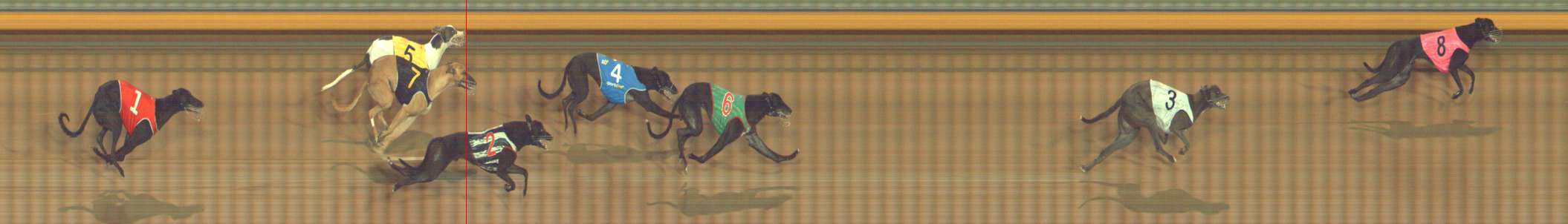 Photo finish for Bendigo Race 5