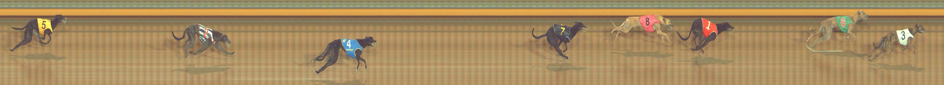 Photo finish for Bendigo Race 6