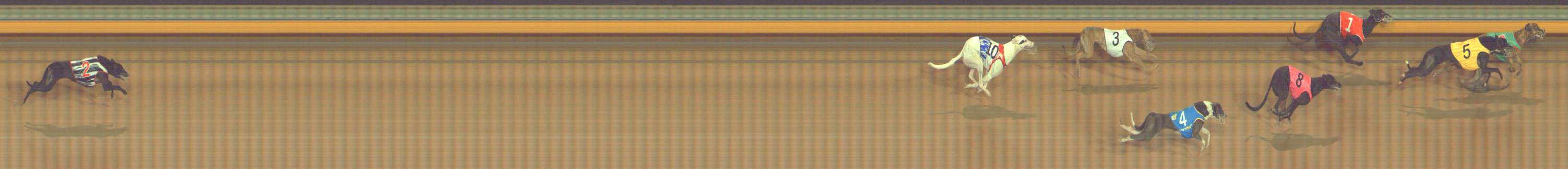 Photo finish for Bendigo Race 7