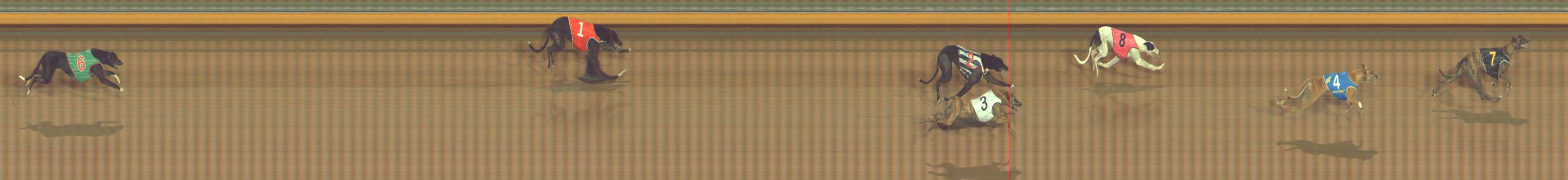 Photo finish for Bendigo Race 9