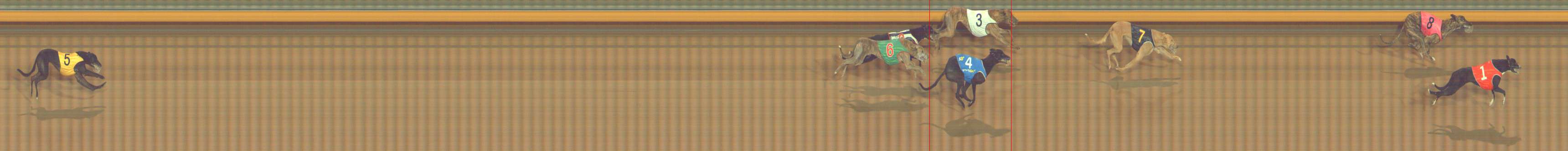 Photo finish for Bendigo Race 12