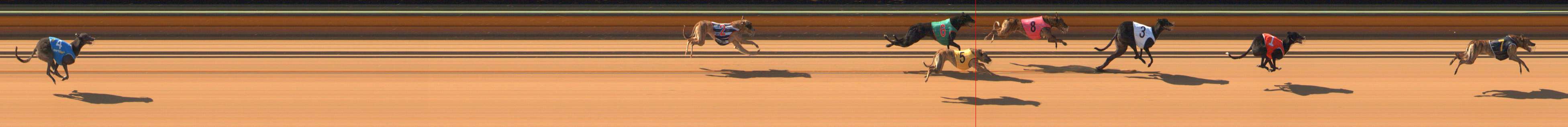 Photo finish for Bendigo Race 1