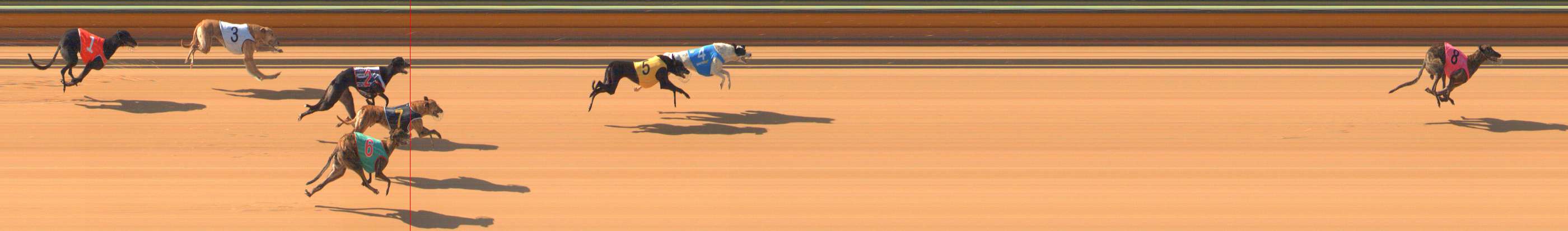 Photo finish for Bendigo Race 2