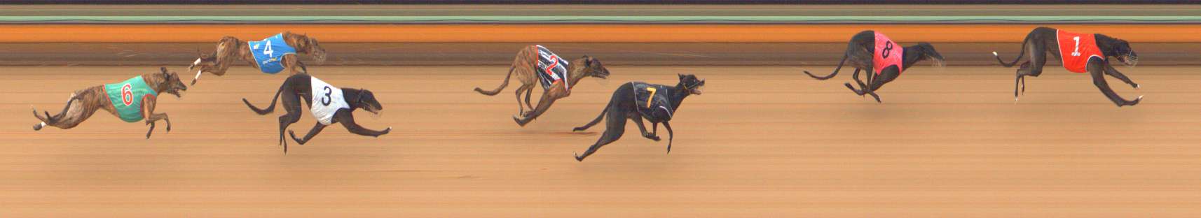 Photo finish for Bendigo Race 7