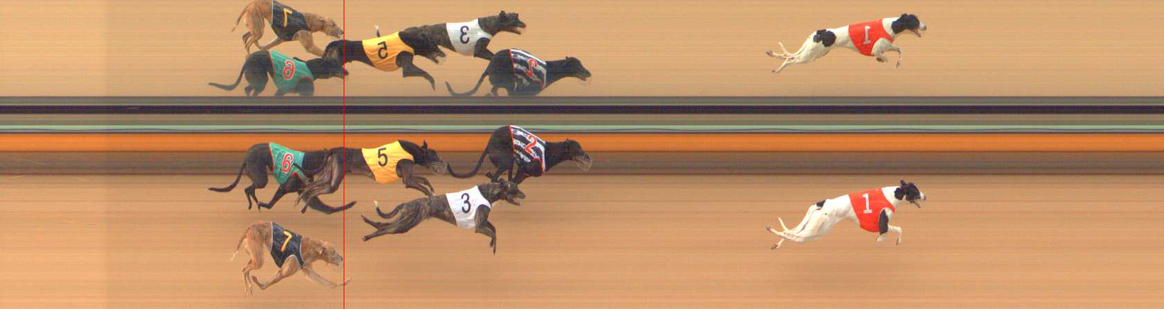 Photo finish for Bendigo Race 8