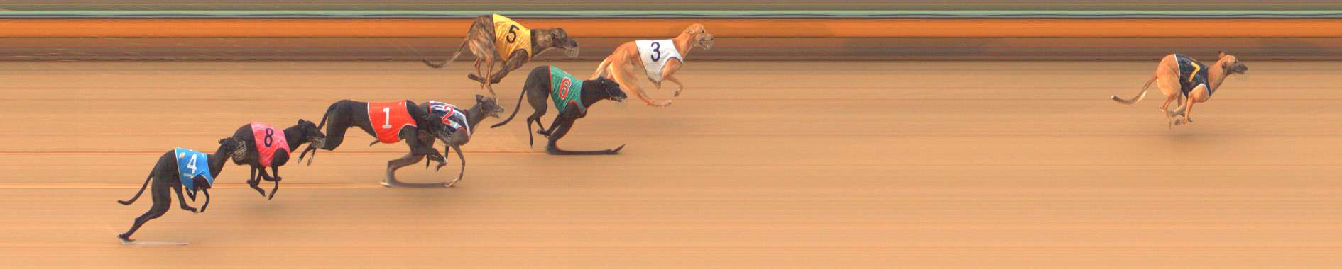 Photo finish for Bendigo Race 9