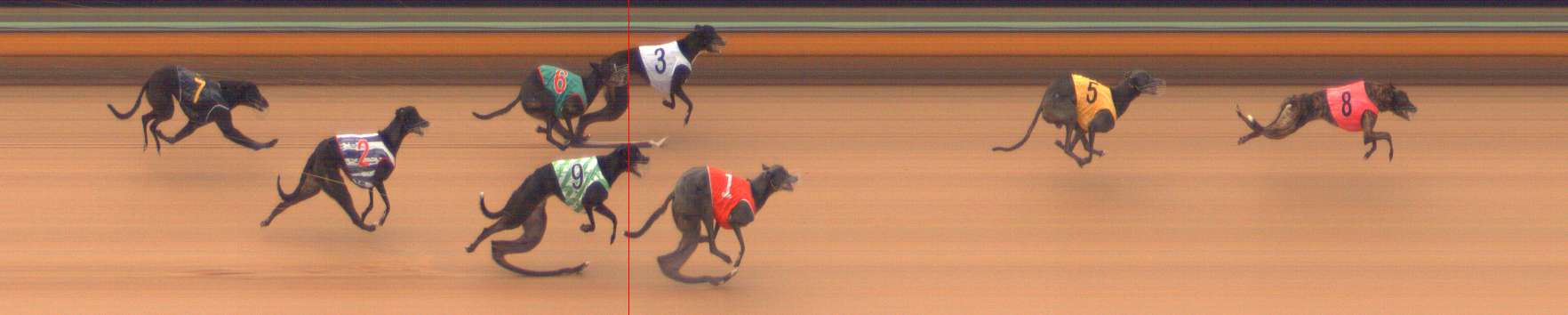 Photo finish for Bendigo Race 10