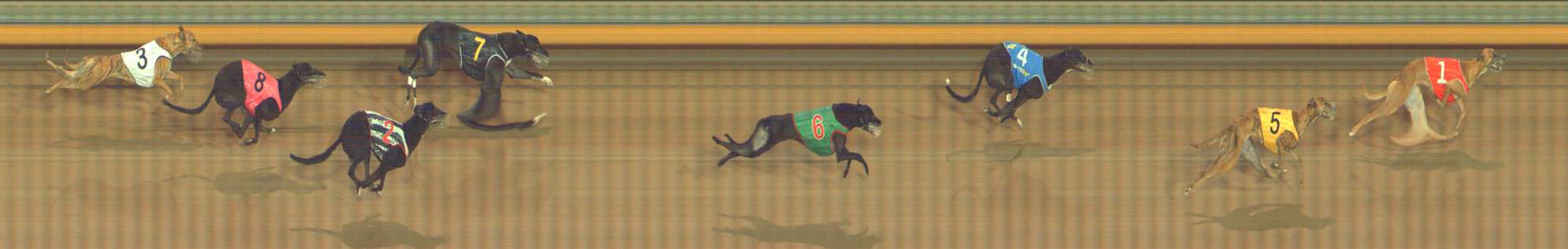 Photo finish for Bendigo Race 11