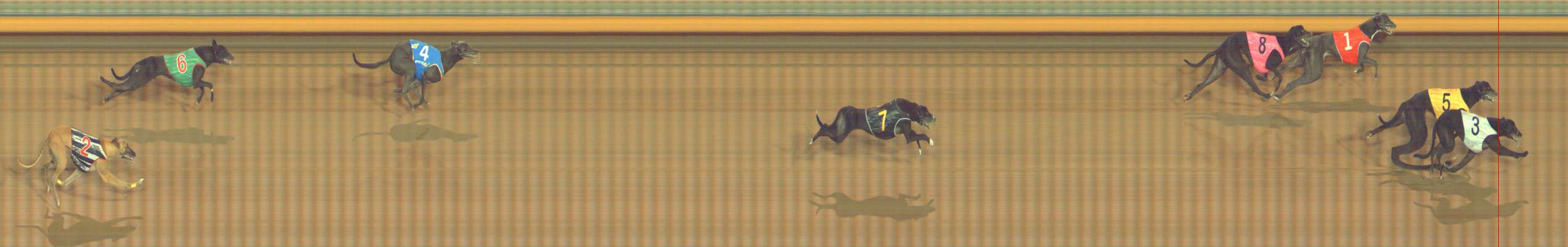 Photo finish for Bendigo Race 12