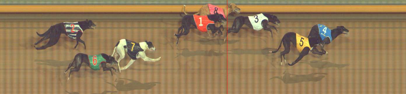 Photo finish for Bendigo Race 13
