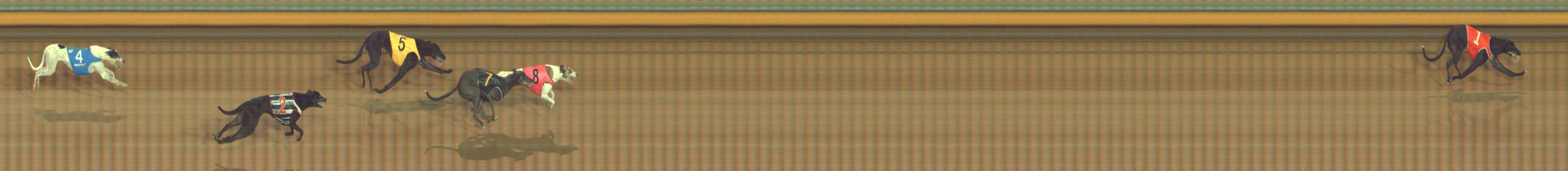 Photo finish for Bendigo Race 1