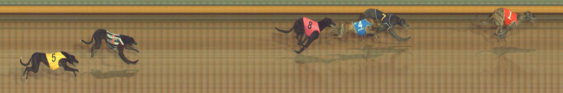 Photo finish for Bendigo Race 2