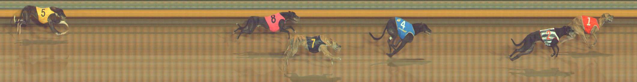 Photo finish for Bendigo Race 3