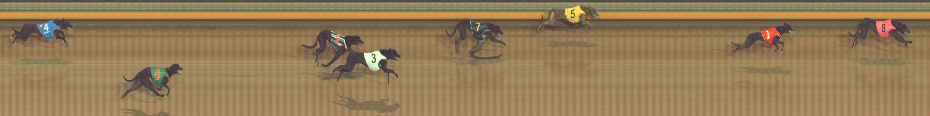 Photo finish for Bendigo Race 4