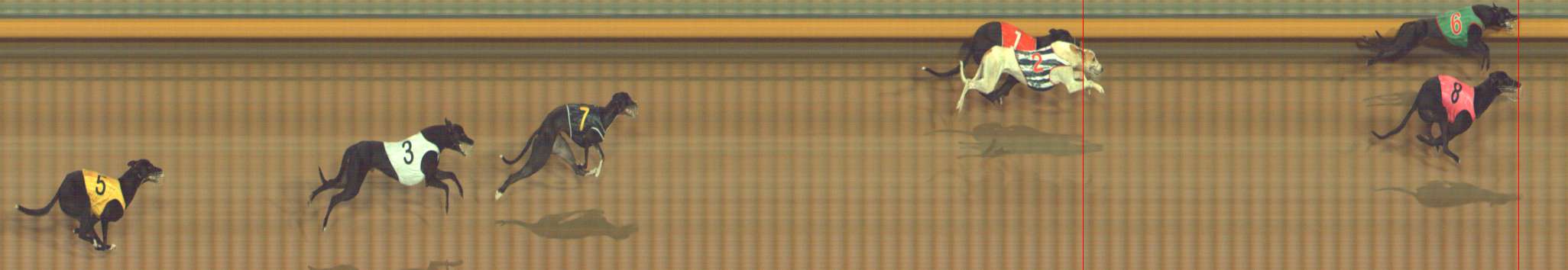 Photo finish for Bendigo Race 5
