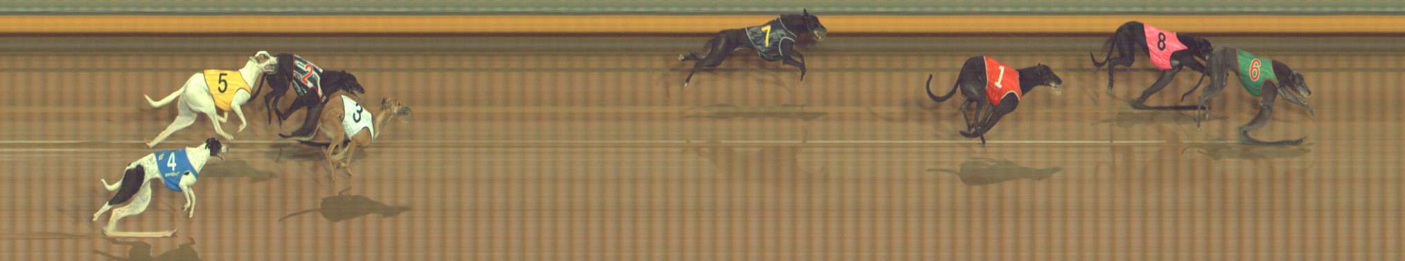 Photo finish for Bendigo Race 6